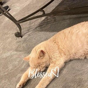 Meet your Posher, Jacki